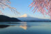 Reading the Poetry of Sri Chinmoy